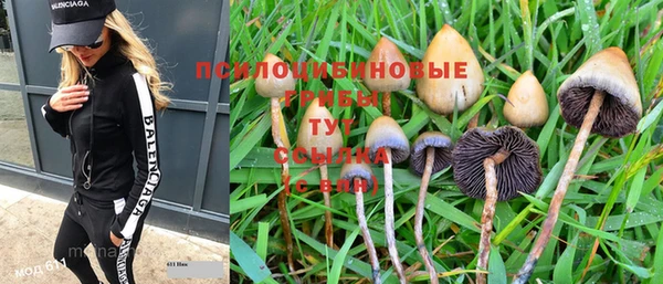 mix Каменка