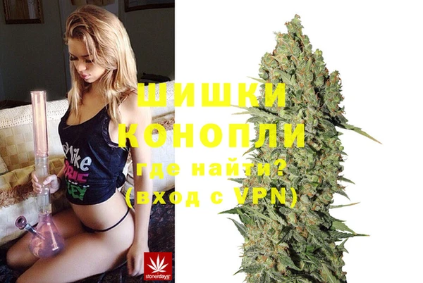 каннабис Каменногорск