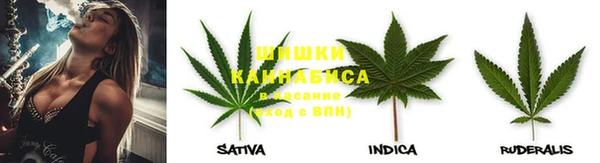 каннабис Каменногорск