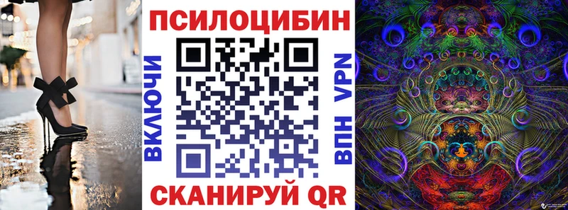 Купить  Рубцовск  Галлюциногенные грибы Psilocybe 