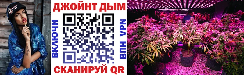 Бошки Шишки THC 21%  Купить закладки  Рубцовск 